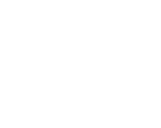Art of Flight Golf Logo